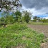 Casă + teren 4430 mp, vie și pomi fructiferi, 22 km de Tecuci imaginea mica 16 Casă + teren 4430 mp, vie și pomi fructiferi, 22 km de Tecuci thumb 16
