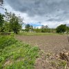 Casă + teren 4430 mp, vie și pomi fructiferi, 22 km de Tecuci imaginea mica 18 Casă + teren 4430 mp, vie și pomi fructiferi, 22 km de Tecuci thumb 18
