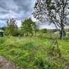 Casă + teren 4430 mp, vie și pomi fructiferi, 22 km de Tecuci imaginea mica 21 Casă + teren 4430 mp, vie și pomi fructiferi, 22 km de Tecuci thumb 21
