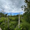Casă + teren 4430 mp, vie și pomi fructiferi, 22 km de Tecuci imaginea mica 28 Casă + teren 4430 mp, vie și pomi fructiferi, 22 km de Tecuci thumb 28