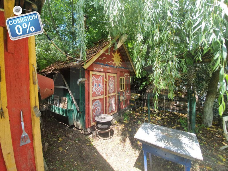 Casa de vacanta in Vladesti | Arges 22