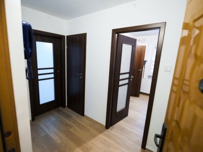 0% COMISION Apartament 2 Camere Brazda Parter Simplon