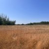 Teren agricol cu potential – 24.834 mp, zona Podul Jiului thumb 2
