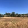 Teren agricol cu potential – 24.834 mp, zona Podul Jiului thumb 11