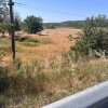 Teren agricol cu potential – 24.834 mp, zona Podul Jiului thumb 13