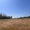 Teren agricol cu potential – 24.834 mp, zona Podul Jiului thumb 14