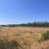 Teren agricol cu potential – 24.834 mp, zona Podul Jiului thumb 15