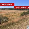 Teren agricol cu potential – 24.834 mp, zona Podul Jiului thumb 1