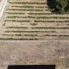 Teren de vanzare intravilan Carcea, 500 mp, toate utilitatile thumb 4