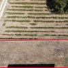 Teren de vanzare intravilan Carcea, 500 mp, toate utilitatile thumb 5