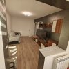 Apartament 2 camere situat in zona TOMIS NORD thumb 7