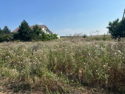 Teren de vânzare Costinești | Intravilan | Lângă DC6