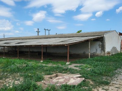 FERMA situata in Sat RANDUNICA, Comuna Mihail Kogalniceanu