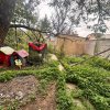 Casă situată în zona Coiciu thumb 4