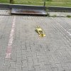 Apartament 2 camere zona Mamaia thumb 14