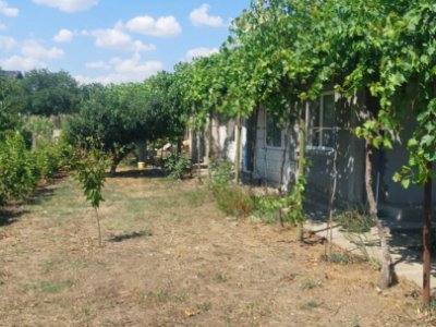 Casă situată în zona Cobadin