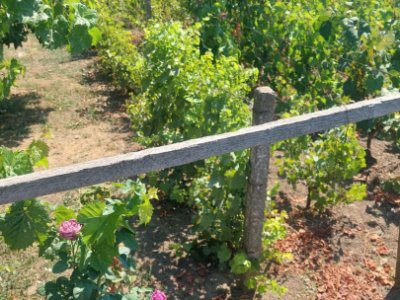 Casă situată în zona Cobadin, COMISION 0%