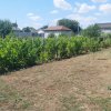 Casă situată în zona Cobadin thumb 9