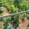 Casă situată în zona Cobadin thumb 10