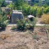 Casă situată în zona Cobadin thumb 12
