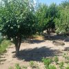 Casă în centrul Cobadinului thumb 16