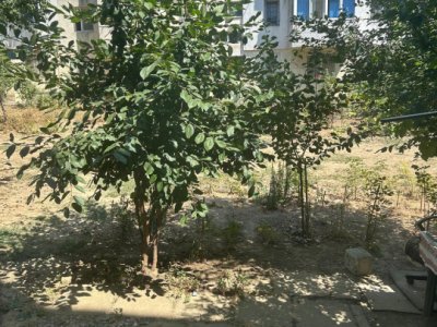 Apartament 2 camere zona Groapă