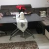 Casa P+1 de vanzare - zona Coiciu Constanta  thumb 12