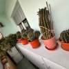 Apartament spațios, ideal pentru familie zona Tomis Nord, Constanta thumb 14
