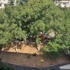 Apartament 2 camere zona Tomis Nord- Brotacei, Constanta thumb 18