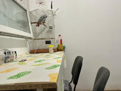 Garsoniera zona Inel I Academia Navala
