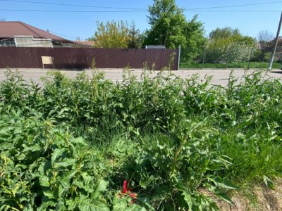 Teren intravilan zona KM 5, Constanța