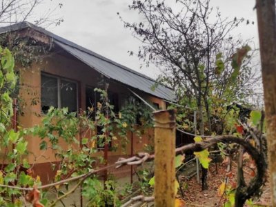 Casă de Vânzare în Saraiu | Teren și Curte Spațioasă