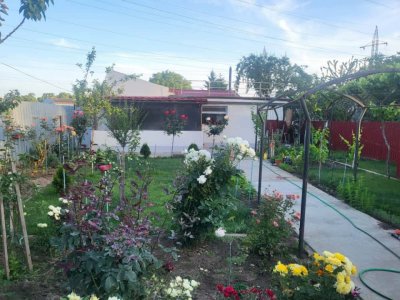 Casă + Hală Industrială + 1000 mp Teren in zona CET, Constanta