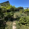 Casă 4 Camere de vânzare în zona KM 5 - Constanța | Teren 520 mp imaginea mica 5 Casă 4 Camere de vânzare în zona KM 5 - Constanța | Teren 520 mp thumb 5