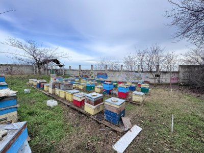 Teren intravilan Poarta 6 | 465 mp | Utilități | Vedere port