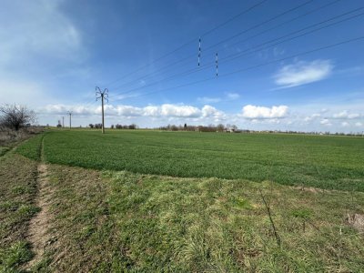 Teren 18.000 mp de vanzare, DN -Stația Meteo spre Valu lu Traian