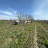 Teren, 18.000 mp, DN -Stația Meteo spre Valu lu Traian thumb 12