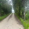 Investitie Litoral! Teren intravilan de vanzare | 46.000mp | Neptun thumb 12