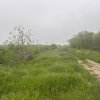 Investitie Litoral! Teren intravilan de vanzare | 46.000mp | Neptun thumb 15