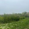 Investitie Litoral! Teren intravilan de vanzare | 46.000mp | Neptun thumb 18