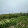 Investitie Litoral! Teren intravilan de vanzare | 46.000mp | Neptun thumb 19