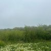 Investitie Litoral! Teren intravilan de vanzare | 46.000mp | Neptun thumb 21
