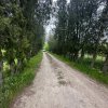 Investitie Litoral! Teren intravilan de vanzare | 46.000mp | Neptun thumb 24