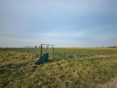 Teren intravilan Eforie Nord – Steaua de Mare | Ideal investiție, lotizare nouă