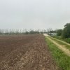 Teren intravilan de vanzare in 23 August - Olimp │ 600mp thumb 7