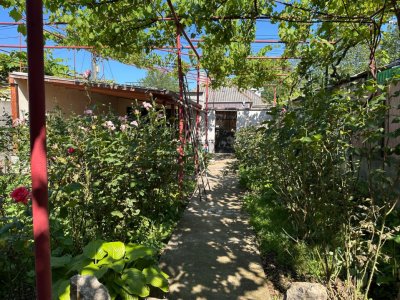 Casa de vanzare, zona Palas