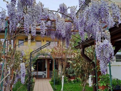 Casă P+1+M de vânzare, 5 camere, foișor, bucătărie de vară, zona Mamaia Sat