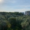 Apartament 2 camere de inchiriat in zona Mamaia Sat - Peco Voll Termen lung thumb 12