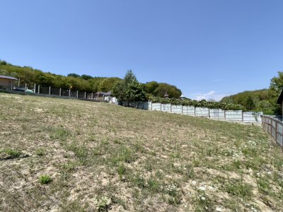 Teren Intravilan de Vis în Bascov, la Marginea Pădurii!