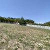 Teren Intravilan de Vis în Bascov, la Marginea Pădurii! thumb 1